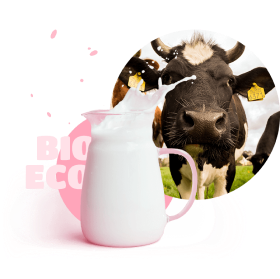 a cow with a coffer of milk